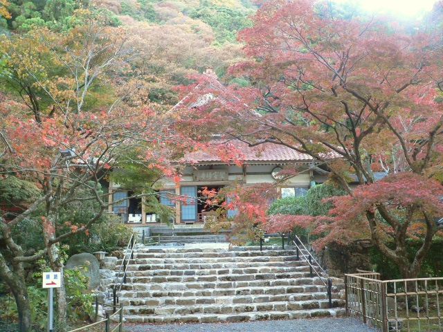 2009年　11月　18日聖宝寺.jpg