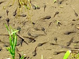 IMG_2611.JPG