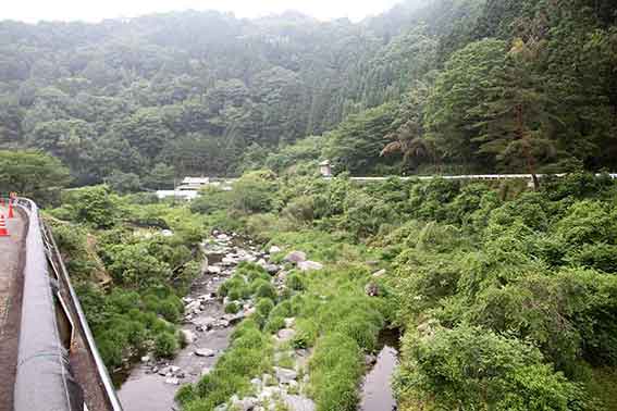美郷ほたるまつり-06♪