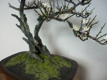 P1030569.JPG