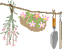 6.gif