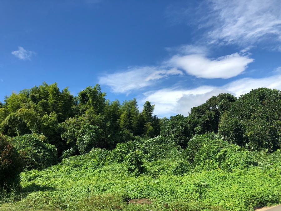 rblog-20181026215936-03.jpg