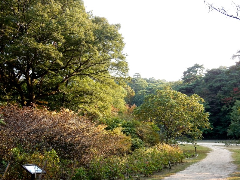 園内