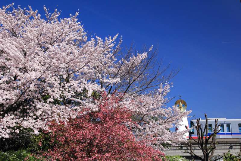 万博記念公園_006.jpg