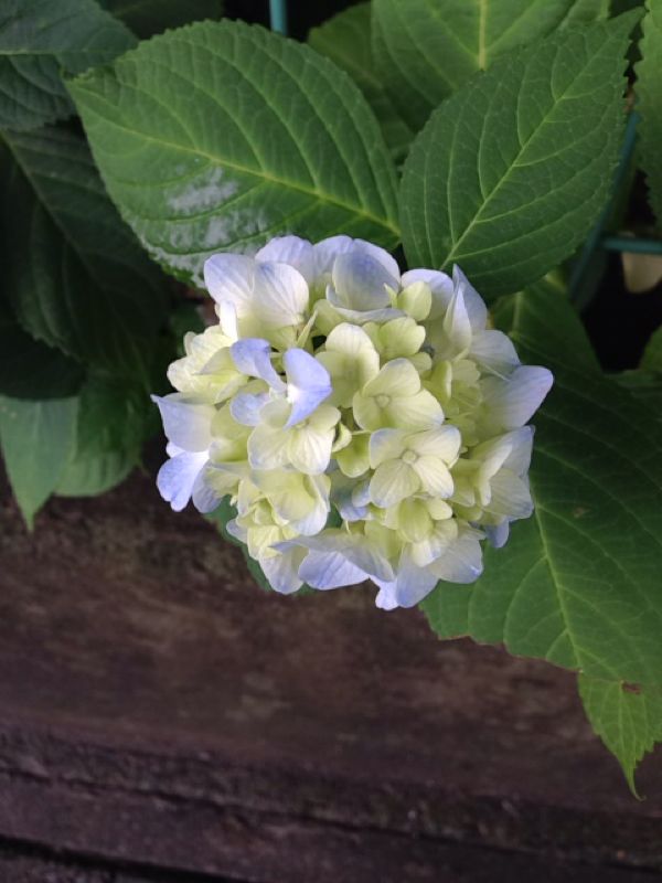 rblog-20140609193522-01.jpg