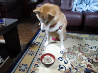 rblog-20140101001806-00.png