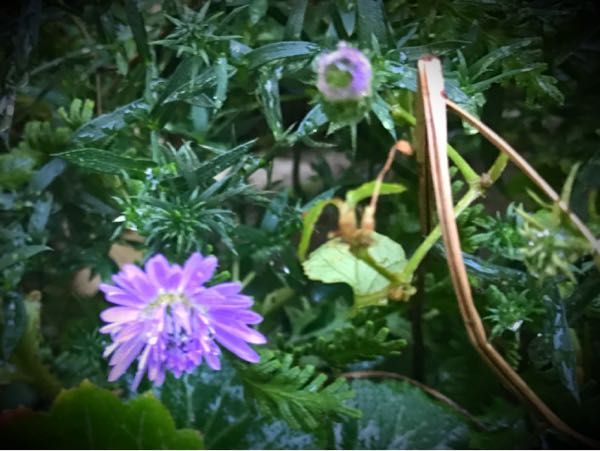 rblog-20170926173842-07.jpg