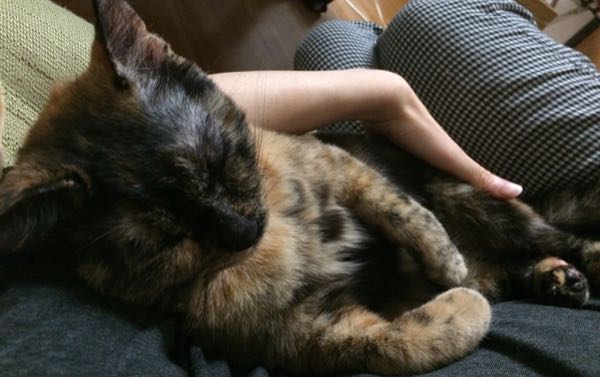 rblog-20161002121603-01.jpg