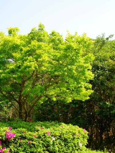 147 (375x500).jpg