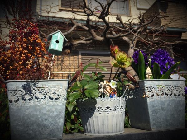 rblog-20150227215626-01.jpg