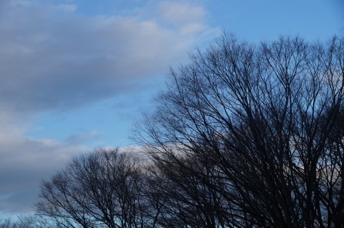 DSC06161b20160202.jpg