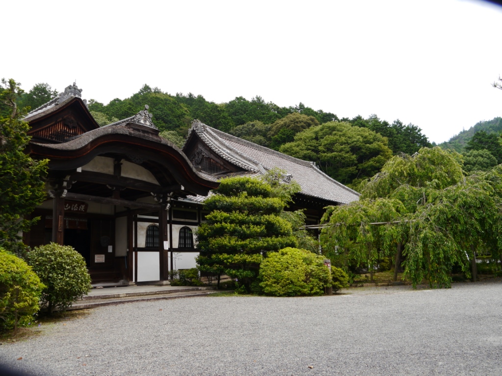 P1080286.JPG