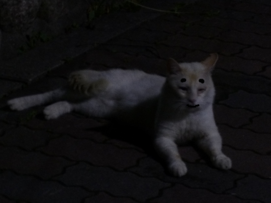 P1130545.JPG