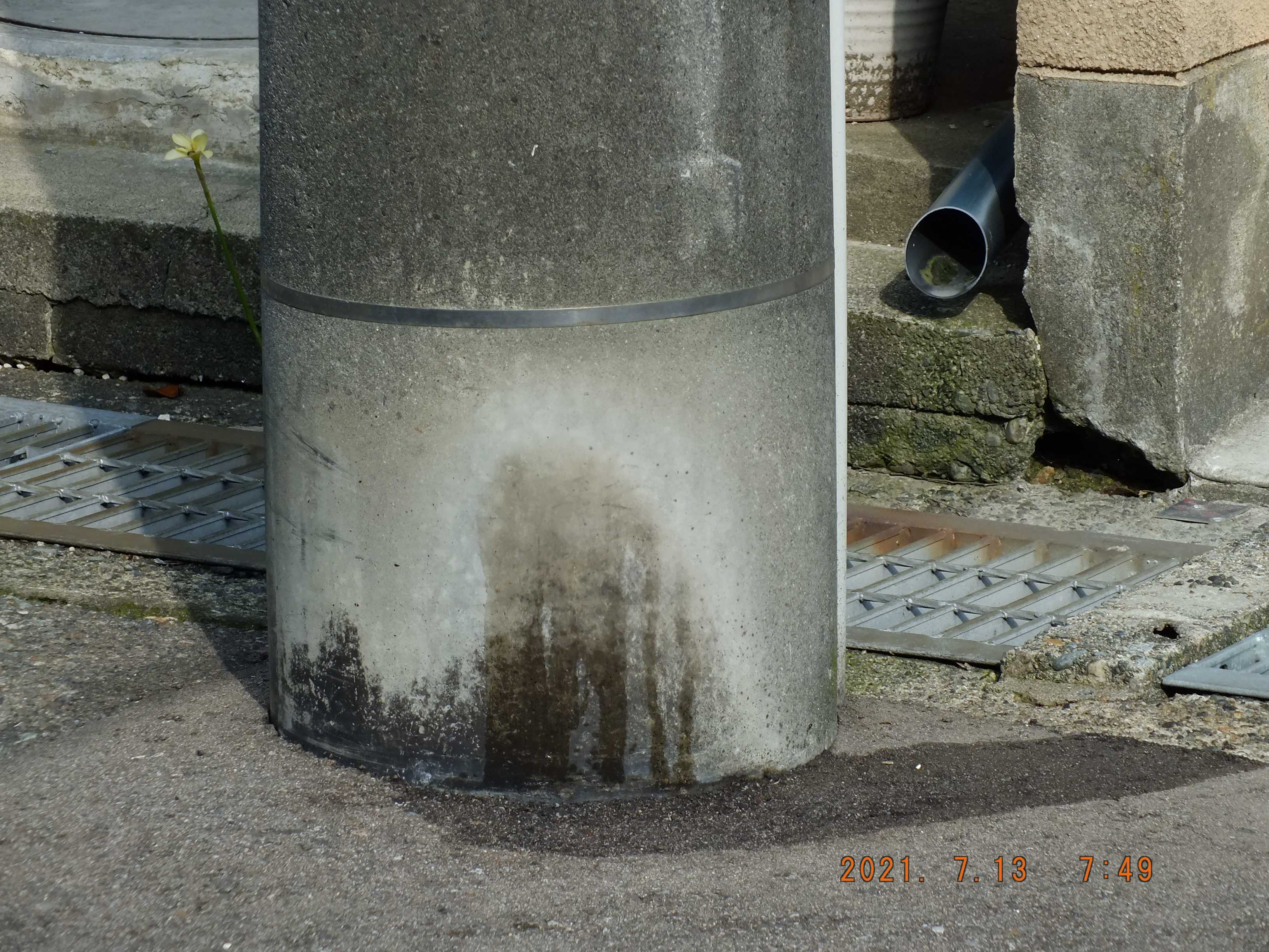 犬の尿で 信号機が 忍者フレーム 楽天ブログ