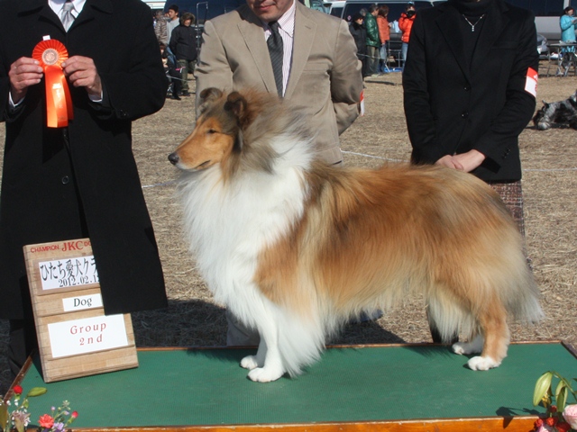 IMG_0561 - コピー.JPG