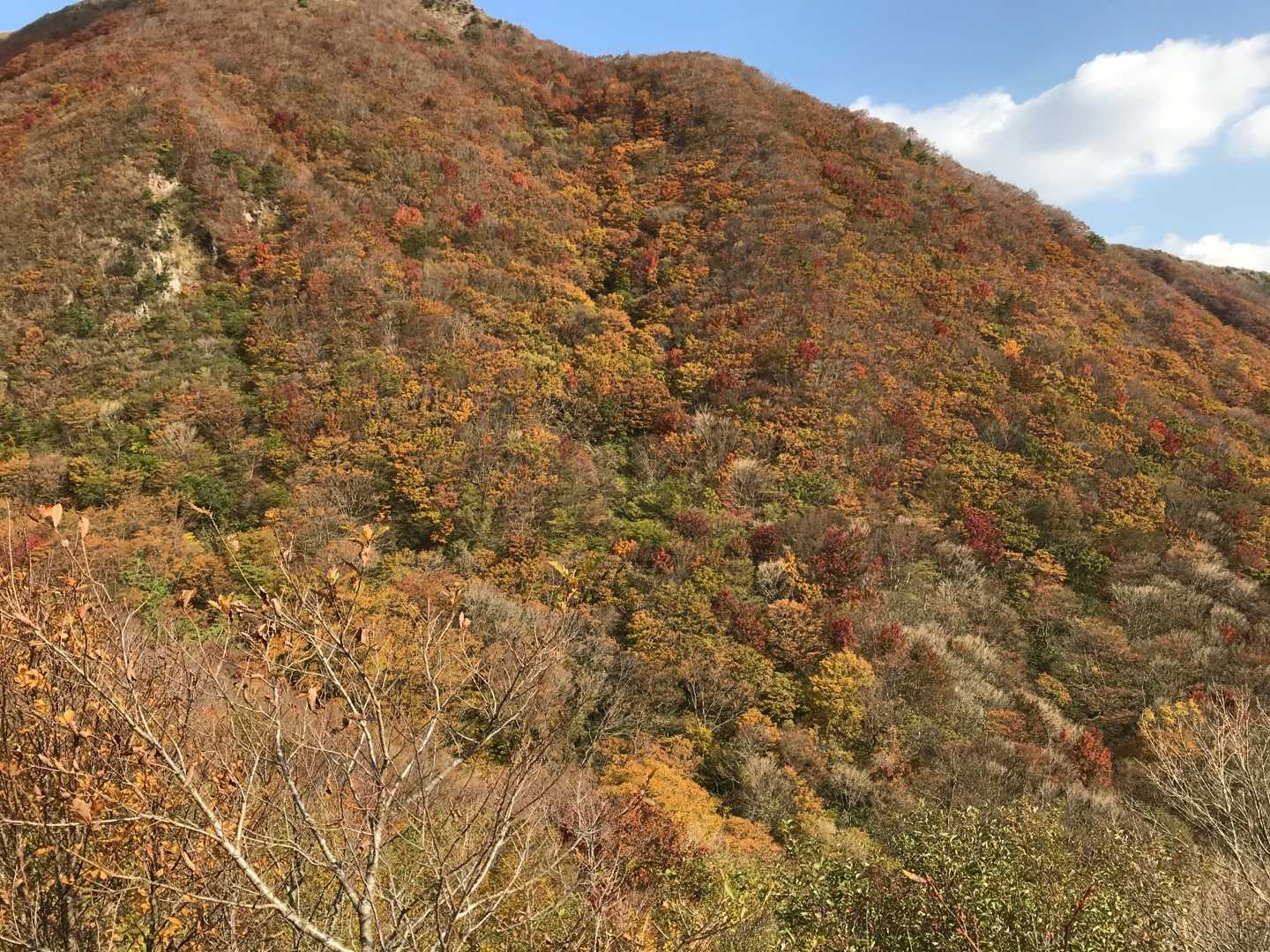三瓶山 登山 | のん木ぶろぐ - 楽天ブログ