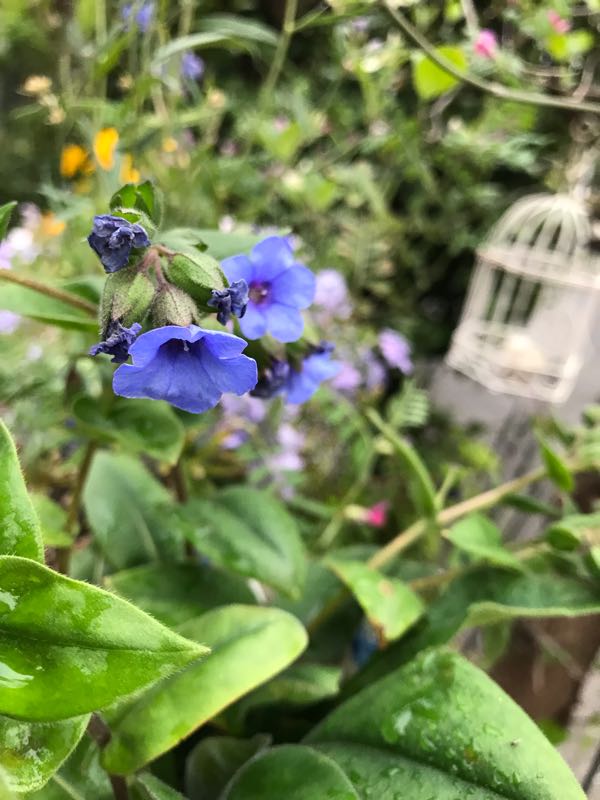 rblog-20190419193545-08.jpg