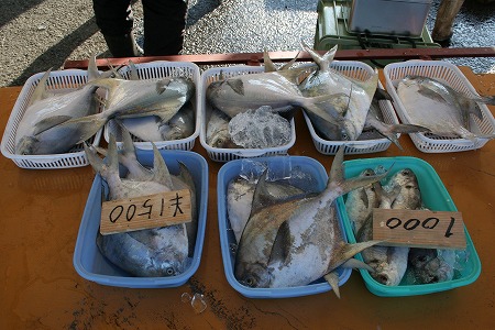 s-IMG_2195.jpg