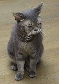 5DA_7188-27.jpg