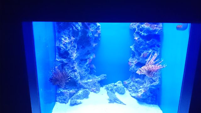 2015-08-23 10.55.18.jpg