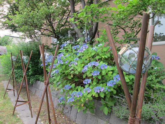 2014-07-25 15.55.54.jpg