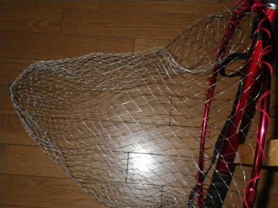 IMGP5781.JPG