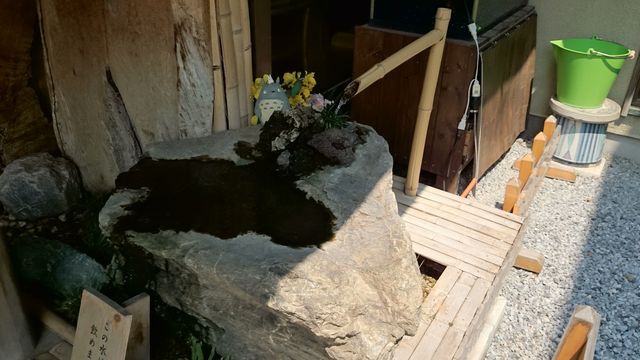 2015-07-12 13.17.08.jpg