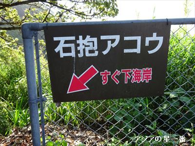 20150505 足摺岬　四万十川3