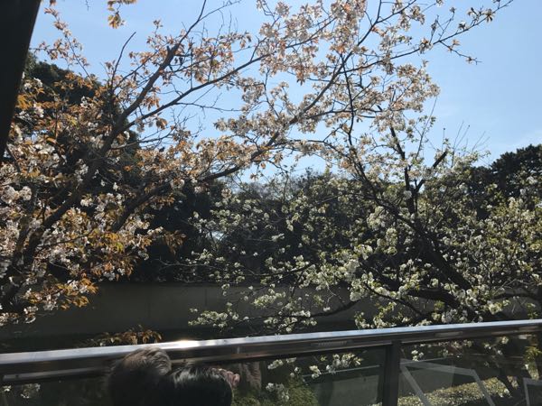 rblog-20170405192255-09.jpg