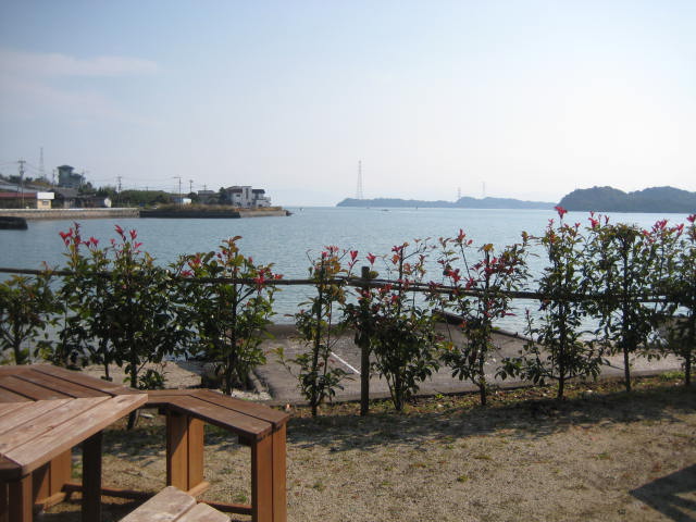 IMG_2711.JPG
