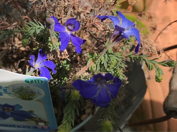rblog-20190423181829-06.jpg