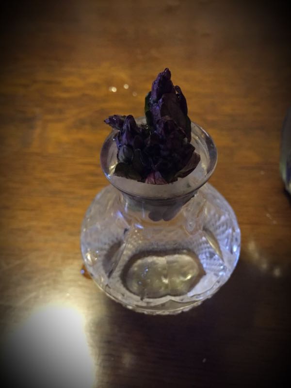 rblog-20160331184219-00.jpg