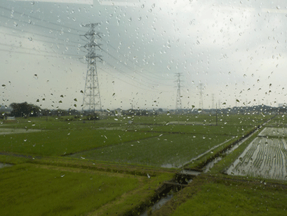 ゲリラ雷雨4