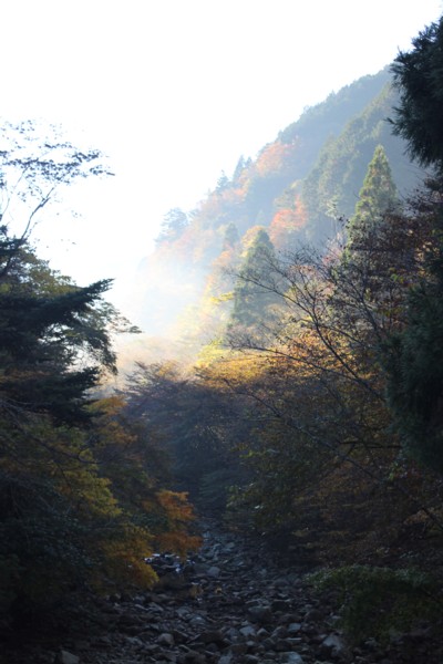 八幡峠の紅葉