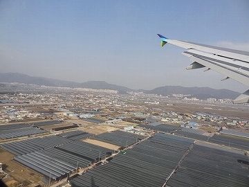 DSC08823.jpg