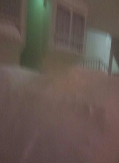 猛吹雪 (2).jpg