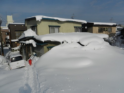 DSCN5782.jpg