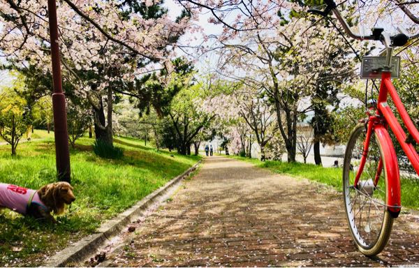 rblog-20180402151531-09.jpg