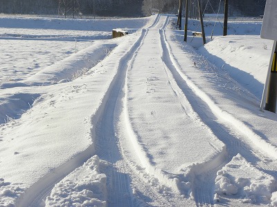 DSCN7598.jpg