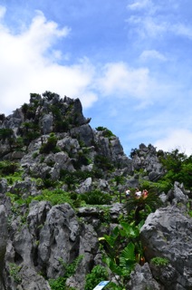 DSC_2010.jpg
