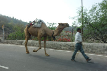 インド584.jpg