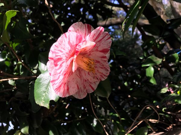 rblog-20190320171306-01.jpg