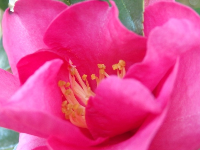 PC080099.JPG