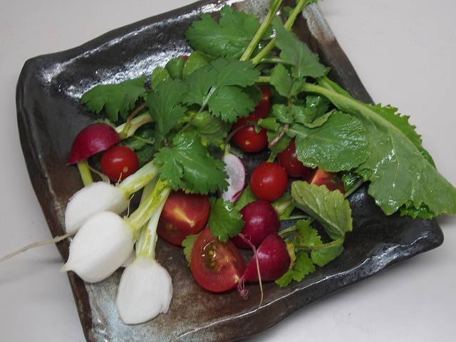 P4100870.jpg