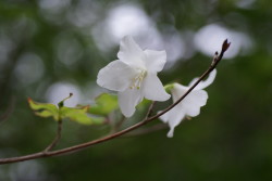 DSC08973.JPG