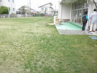 s-P4080030.jpg