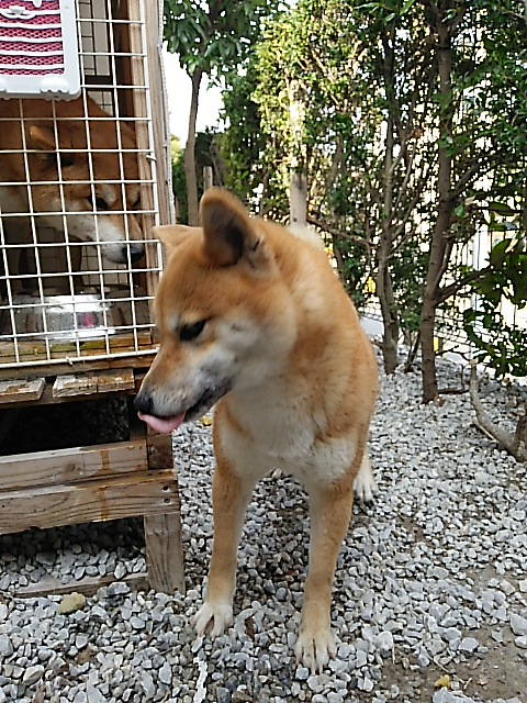 DSC_0602.JPG