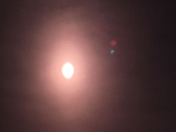 rblog-20190106110801-04.jpg