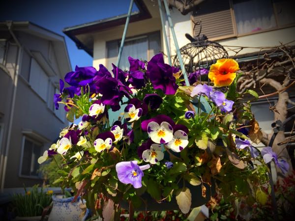 rblog-20150331195641-03.jpg