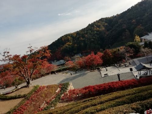 rblog-20181121230912-03.jpg